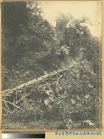 巒大山檜材山滑道之景藏品圖，第2張